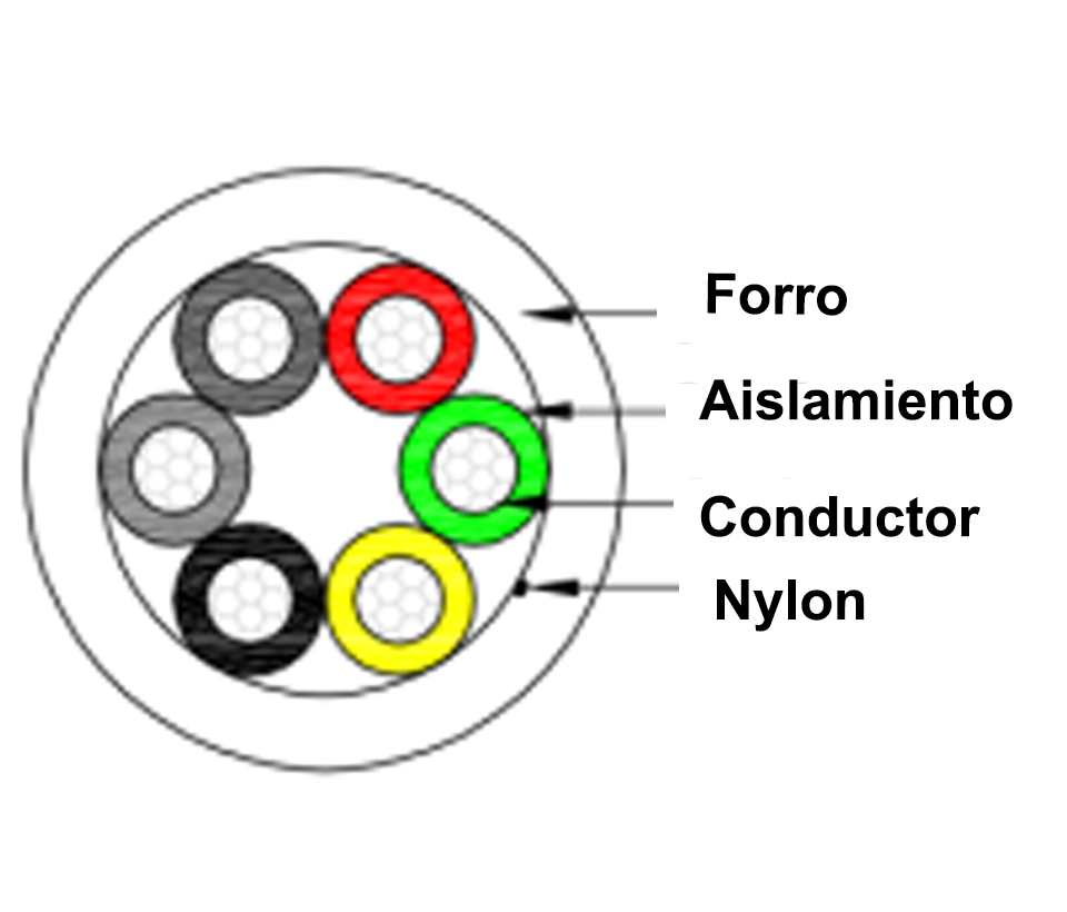 IMG1.png